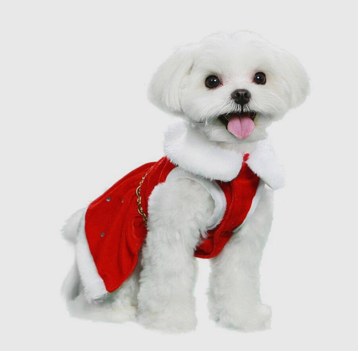 Dear Santa Dress