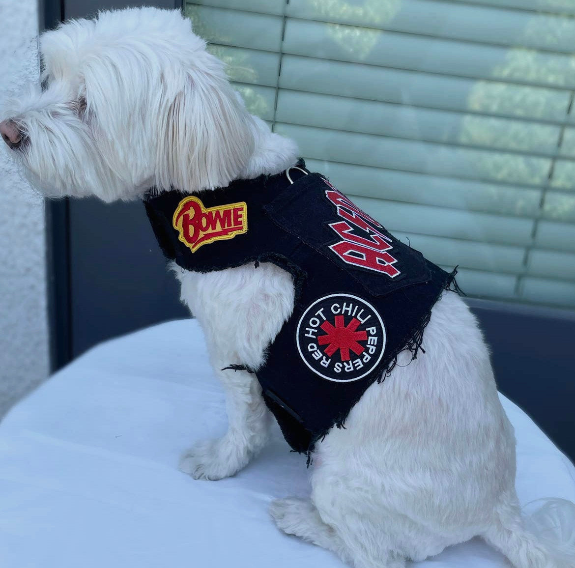 Black Denim Harness - AC/DC
