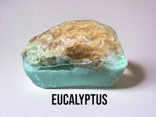 Eucalyptus Sponge Soap